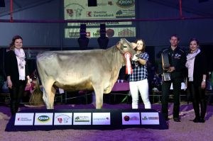 k-4Mention Honorable